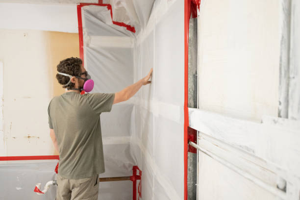 Asbestos and Lead Testing During Mold Inspection in Taft Mosswood, CA
