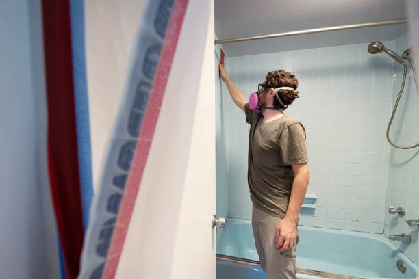 Best Mold Removal for HVAC Installations  in Taft Mosswood, CA