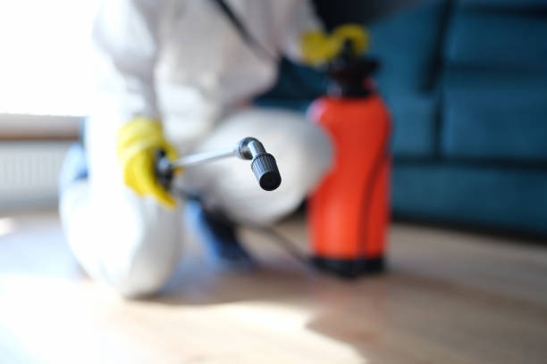 Best Asbestos and Lead Testing During Mold Inspection  in Taft Mosswood, CA