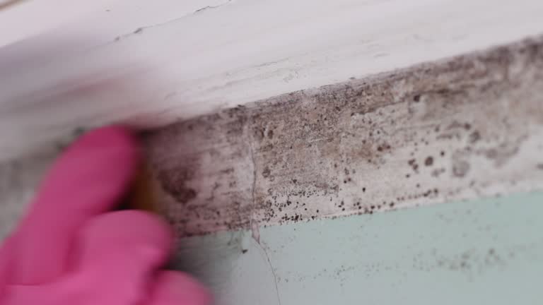 Best Post-Remediation Verification Testing  in Taft Mosswood, CA